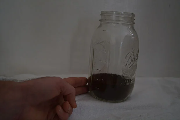 How to Care For Your Coffee Like a Pro