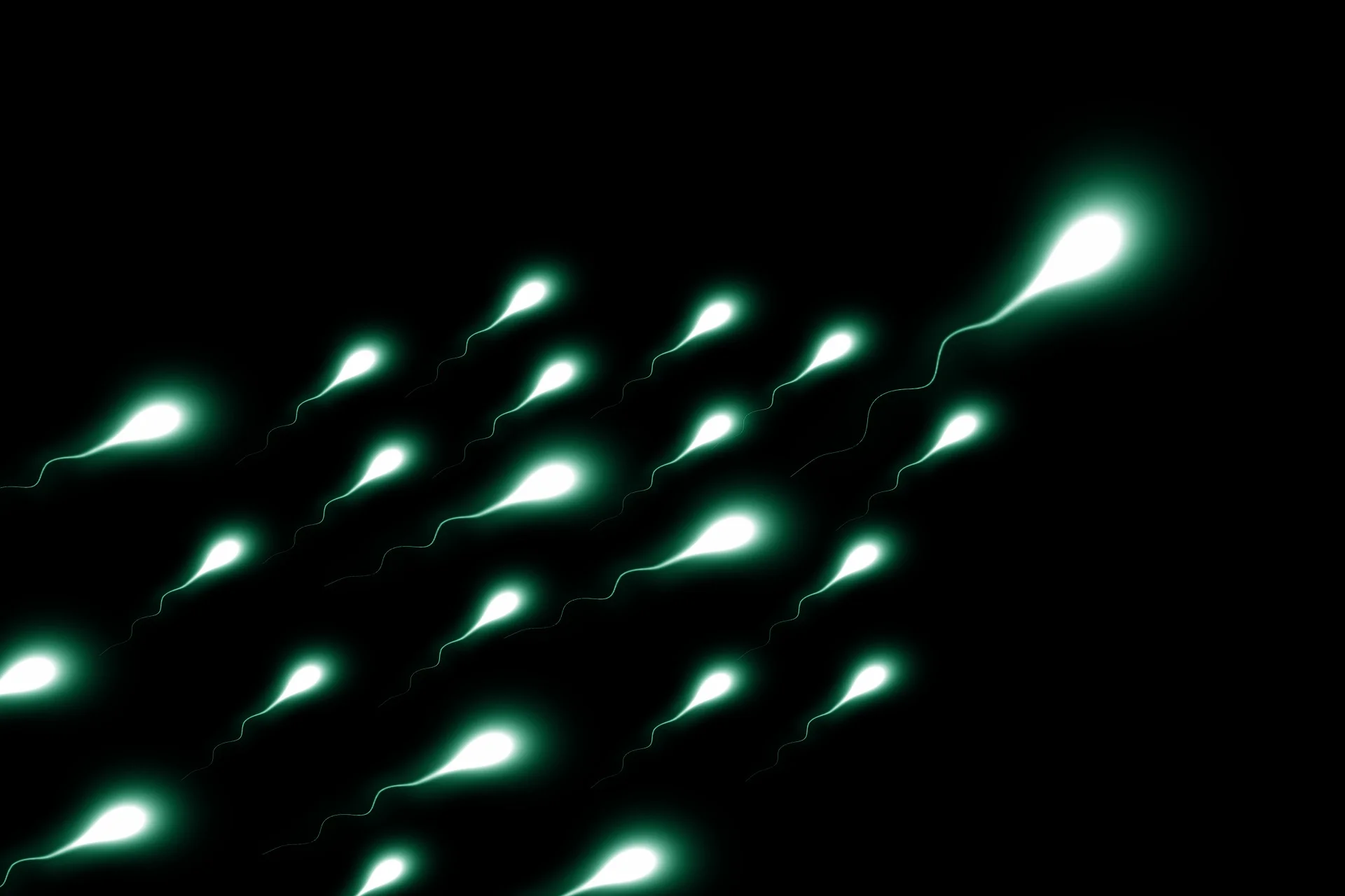 sperium-2505952_1920.jpg