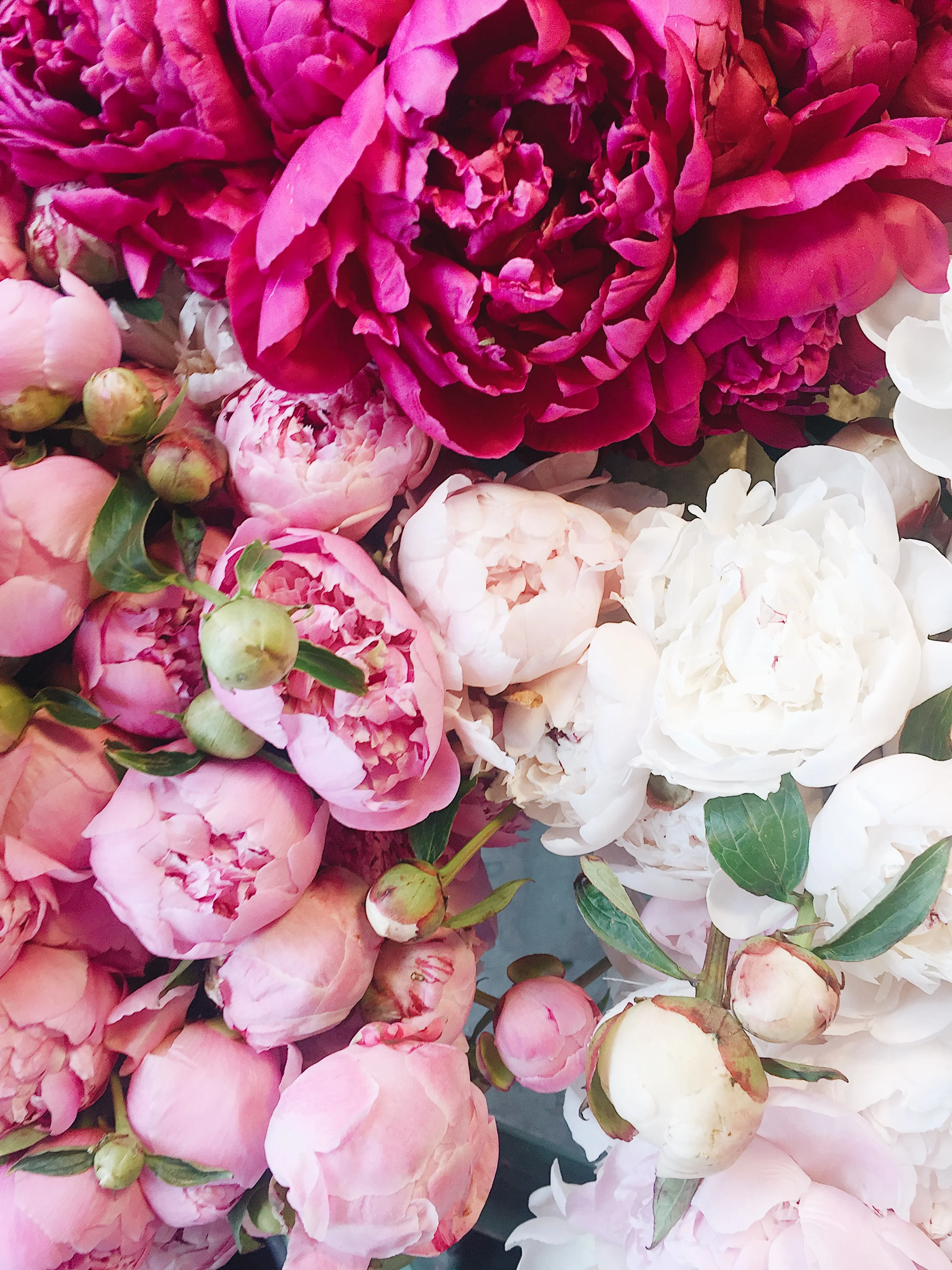 Spring Florals