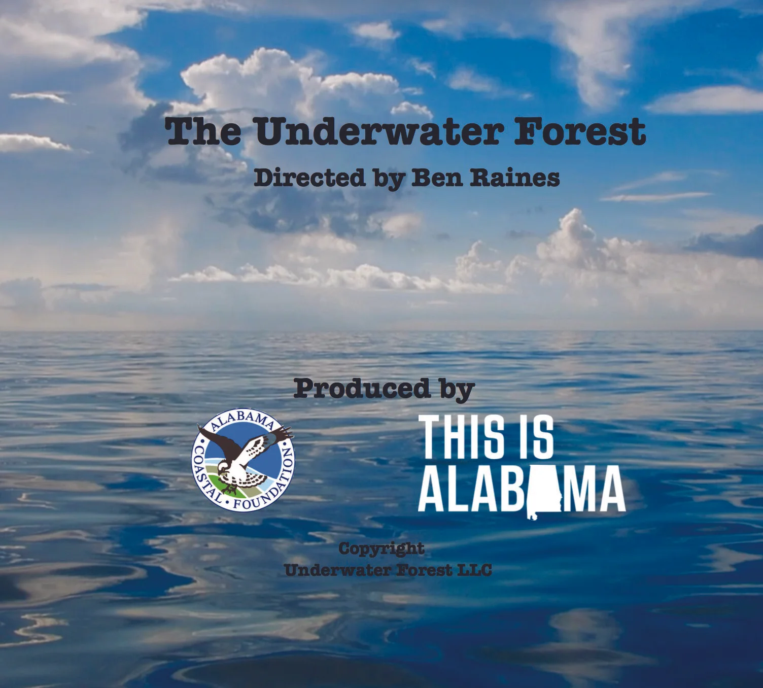 Underwater Forest DVD Cover.jpg