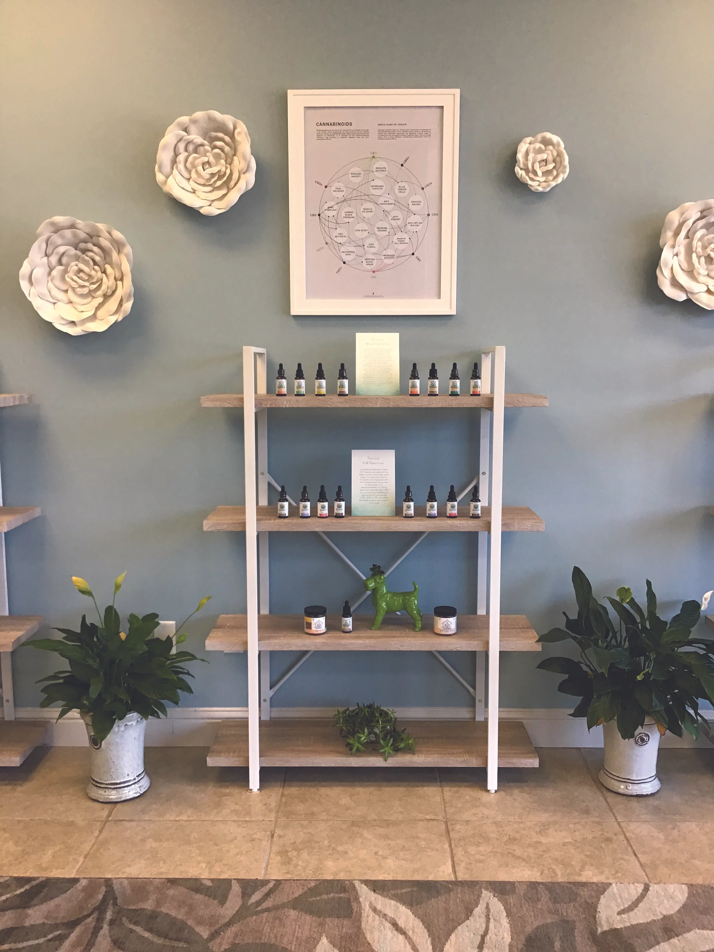 shelves.jpg