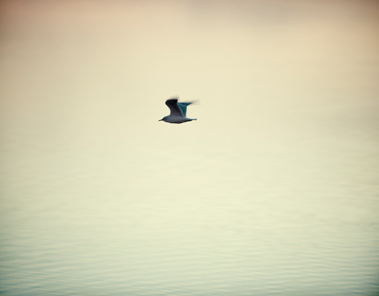 _DSC0013.jpg