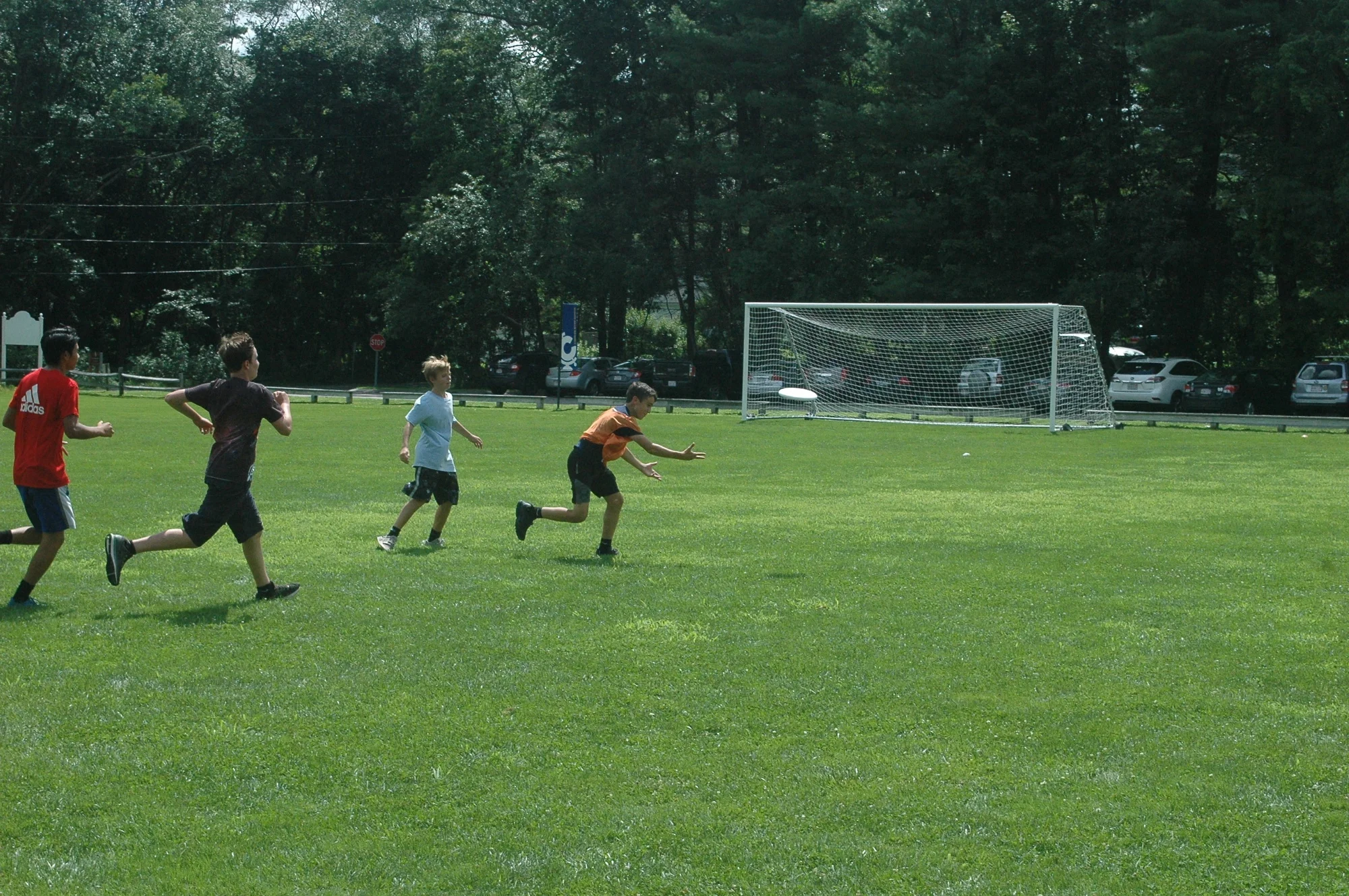 Cathc the Frisbee.jpg