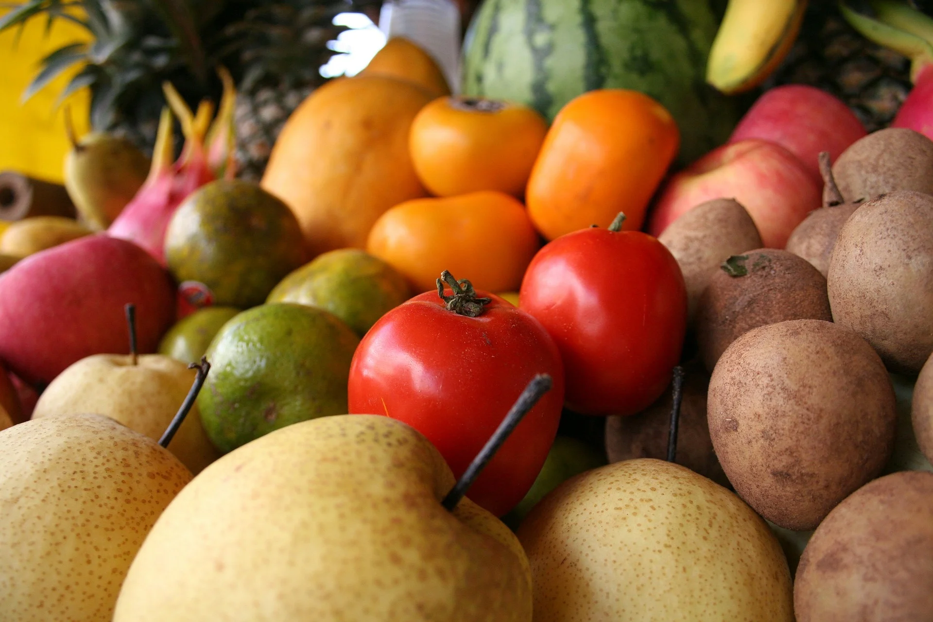 Food Bank at Cudell Recreation Center