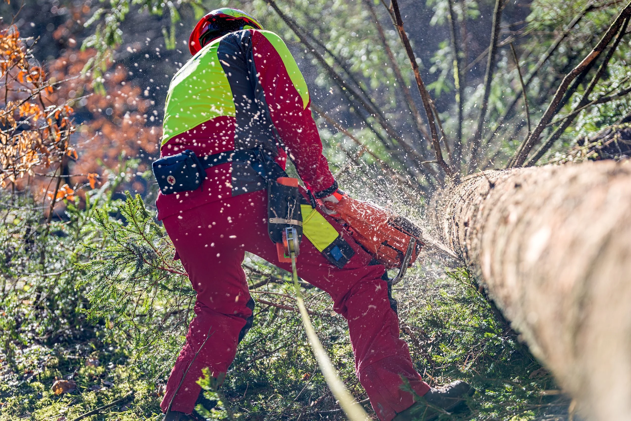 dans-trees-and-gardens-arborist-tree-surgeon-surgery-chainsaw-1-reduced.jpg