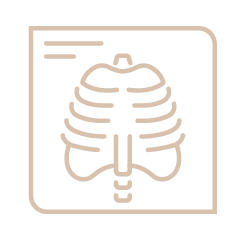 AchieveBalance_IconsSmall-18.png