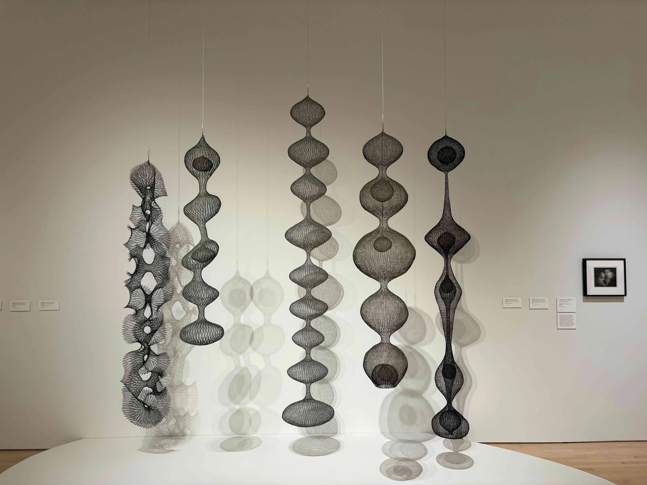Art Viewing Adventures: Ruth Asawa at SFMOMA