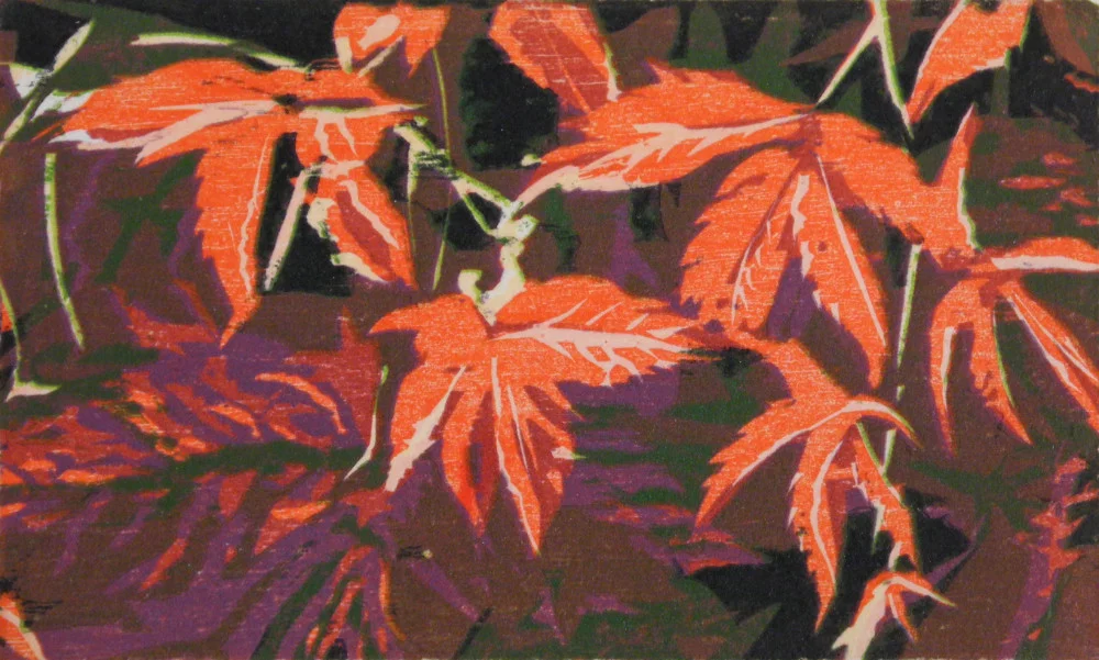 Virginia Creeper