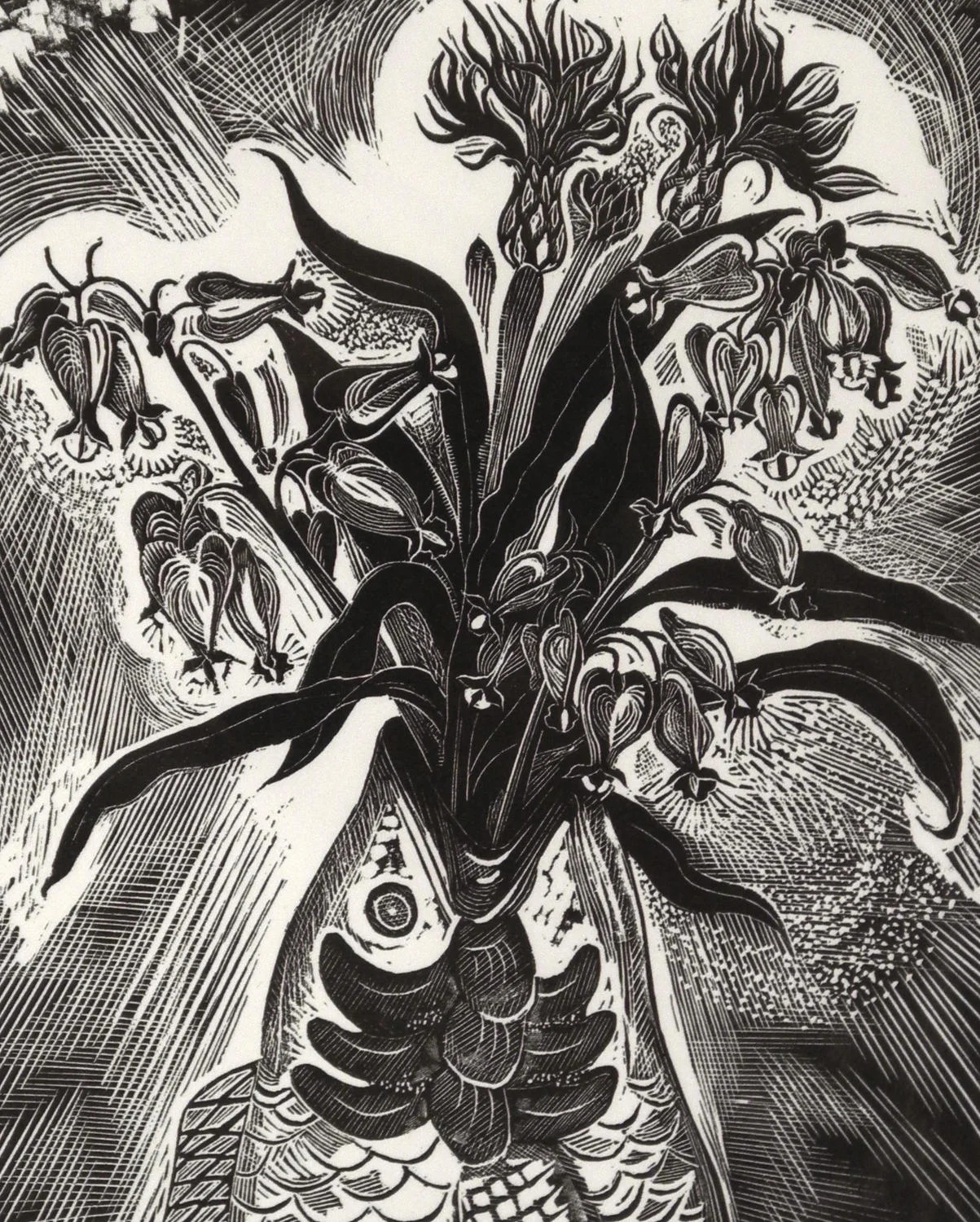 Hearts, Buttons and Fish