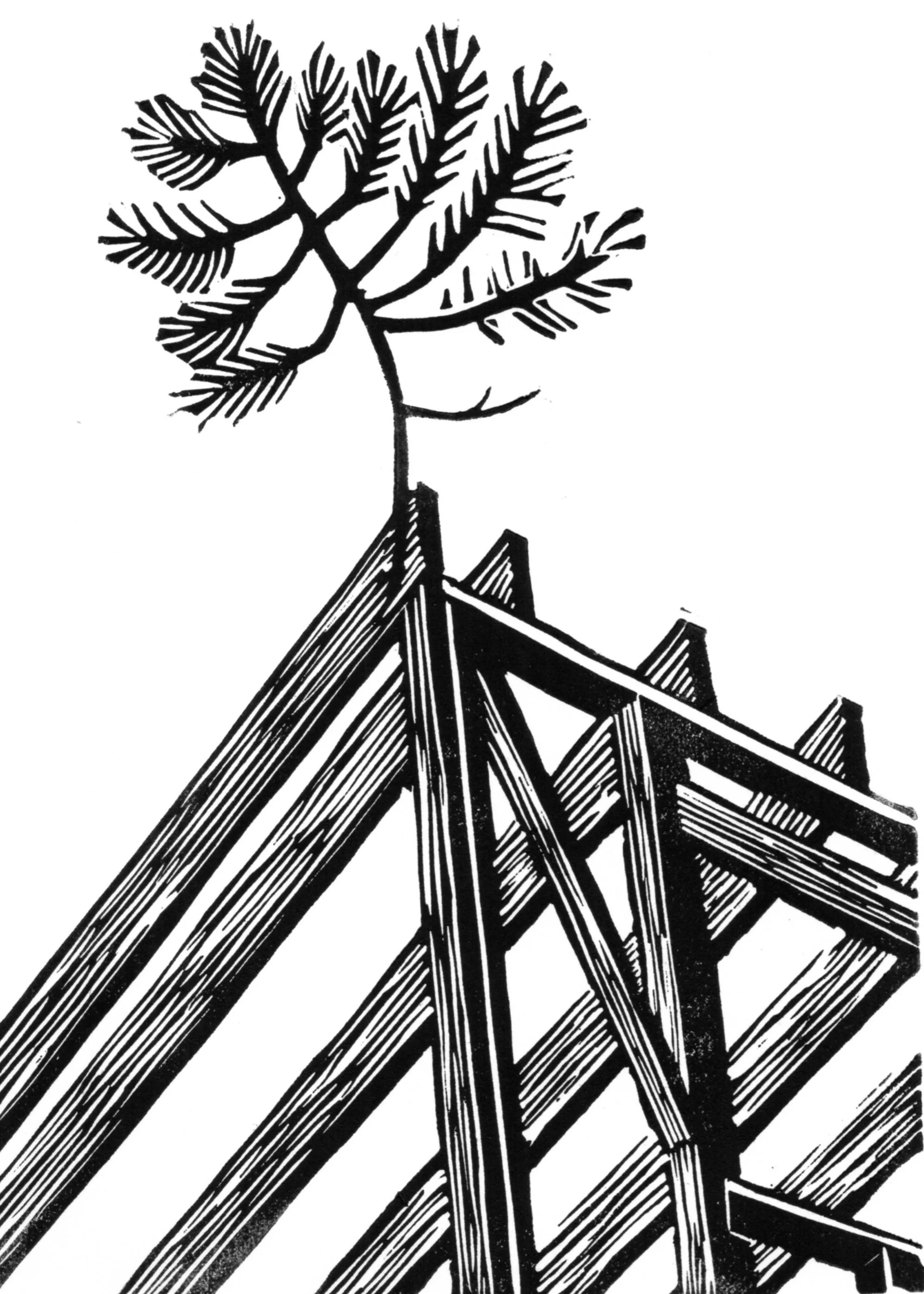 How We Built Our House