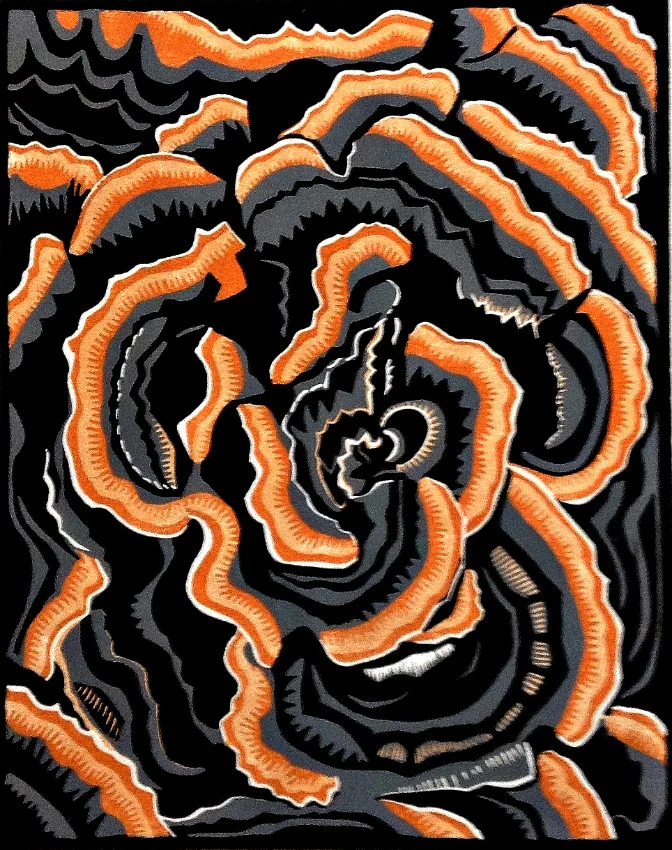 Turkey Tail Bracket Fungus