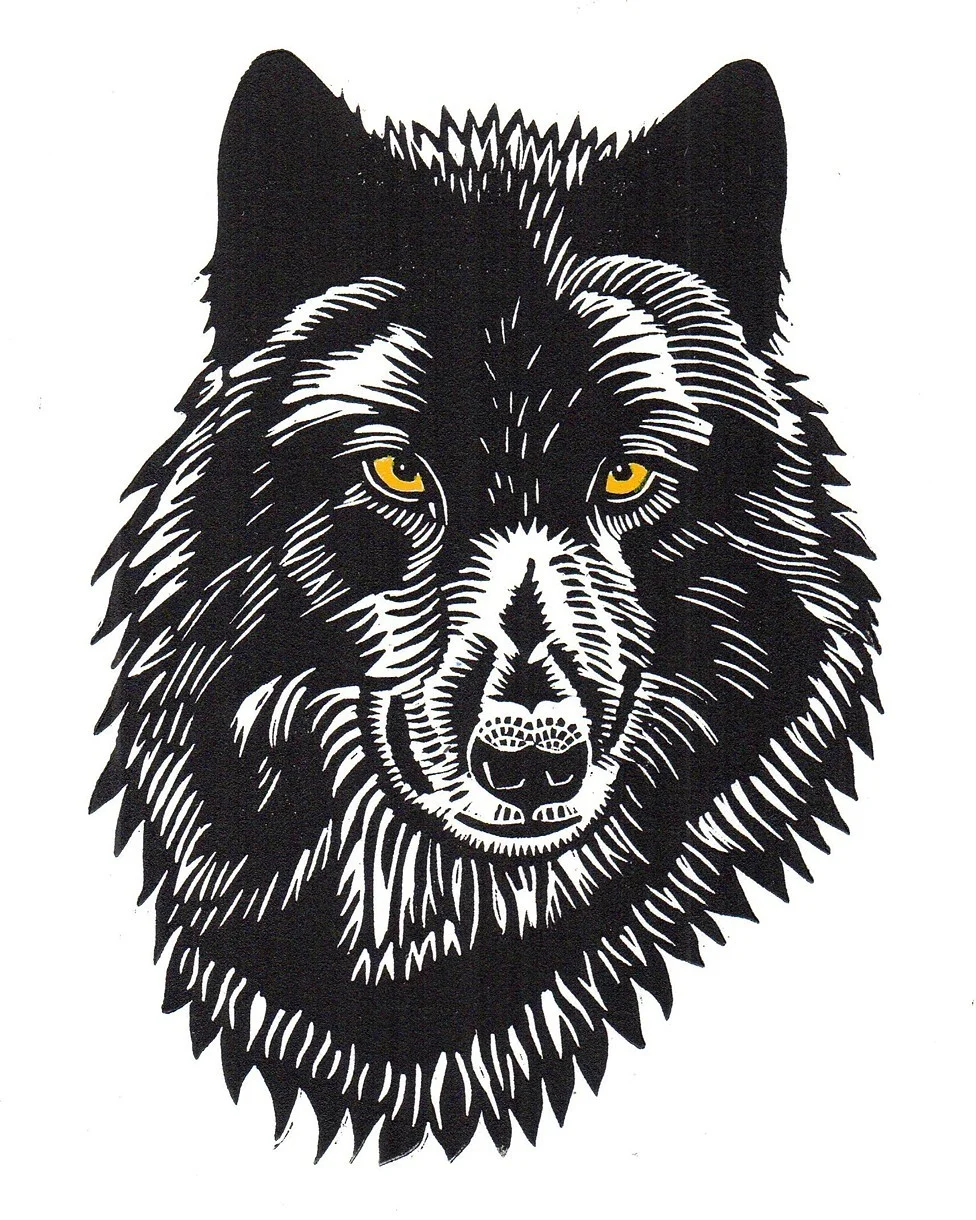 Black Wolf
