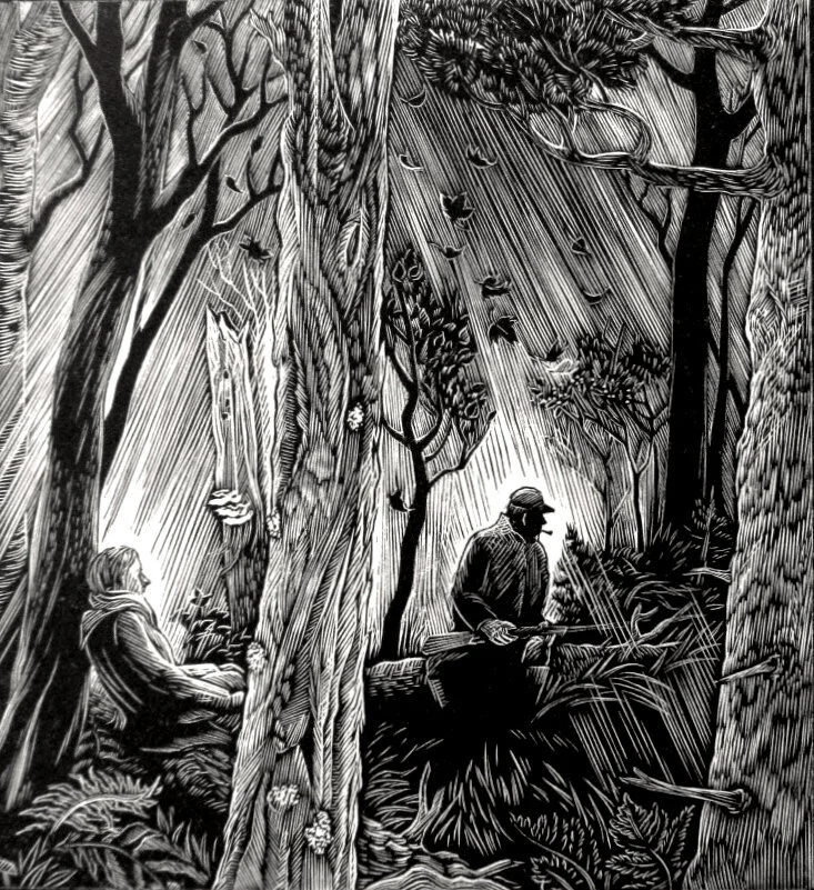 Stopping In The Woods