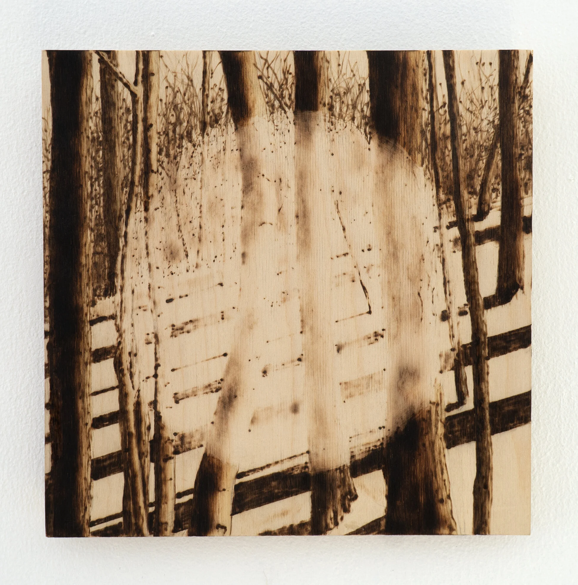 Winter Slope, Dissolve to White