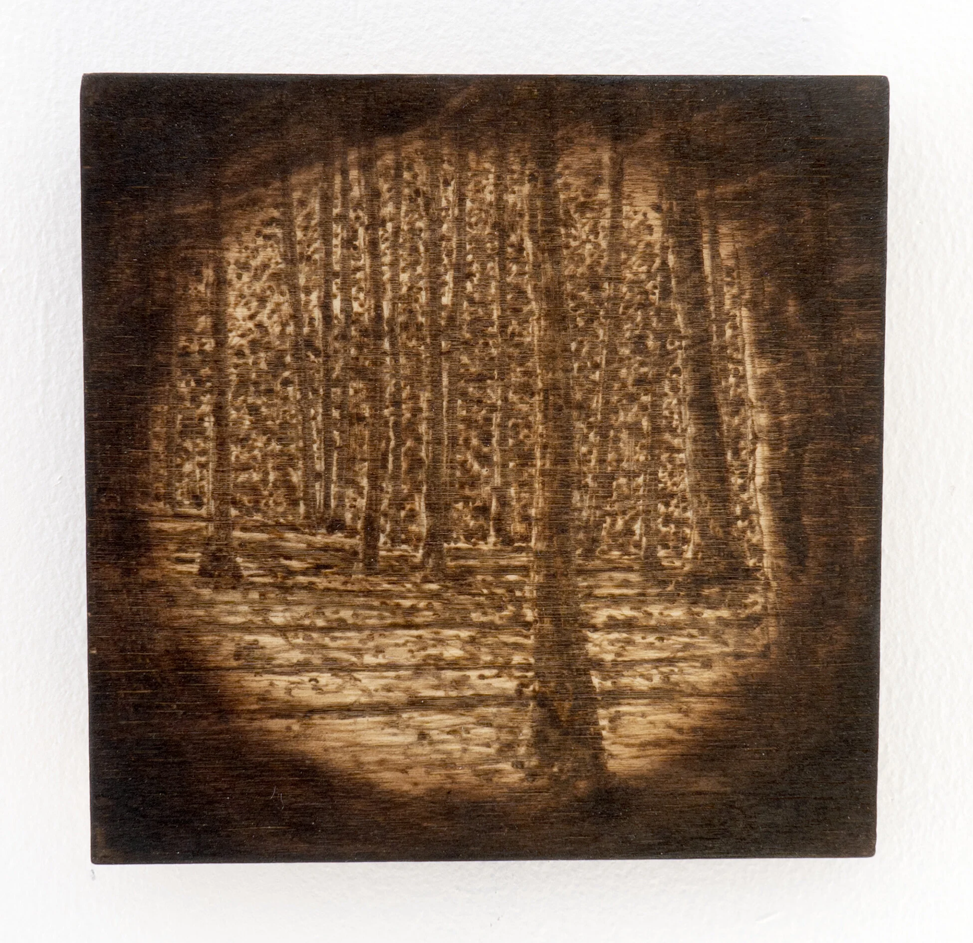 Ridgetop Shadows - Fade to Black