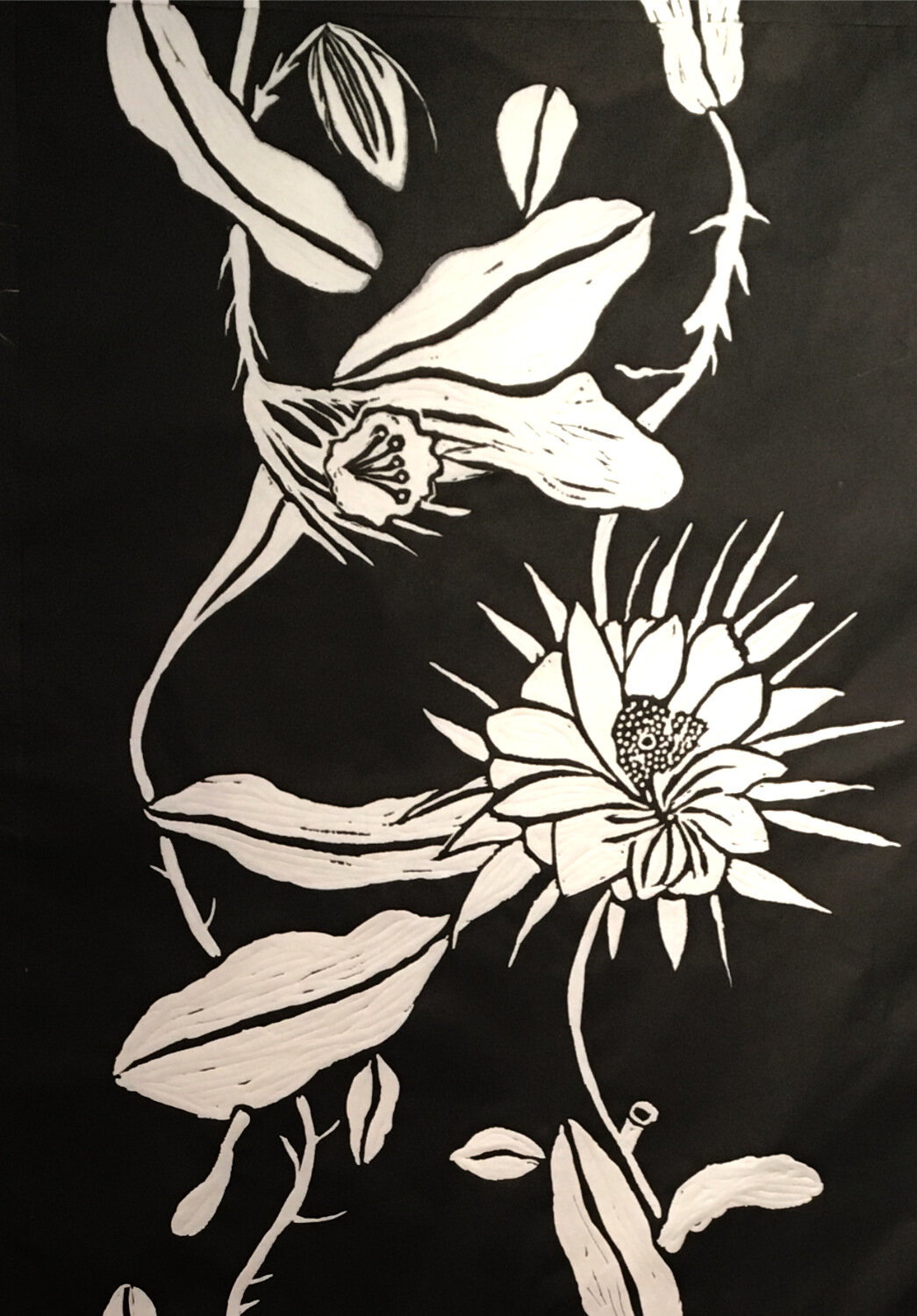 Night Blooming Cereus