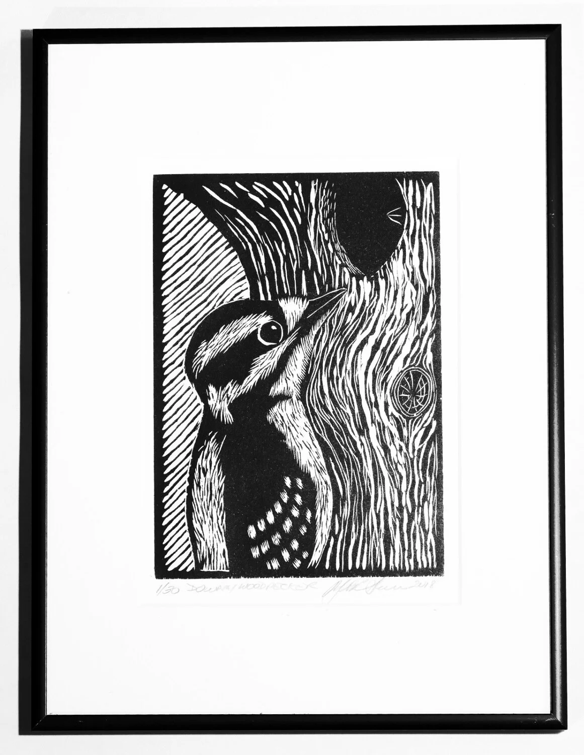 Woodpecker framed web.jpg
