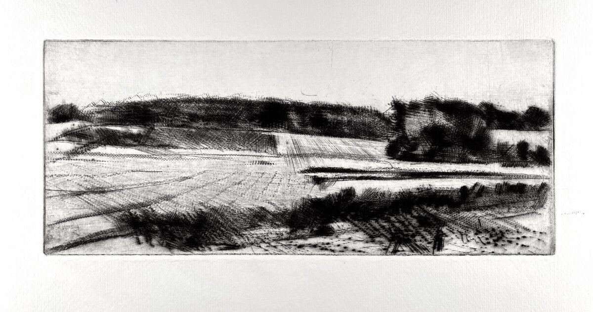 Concord Pumpkin Field