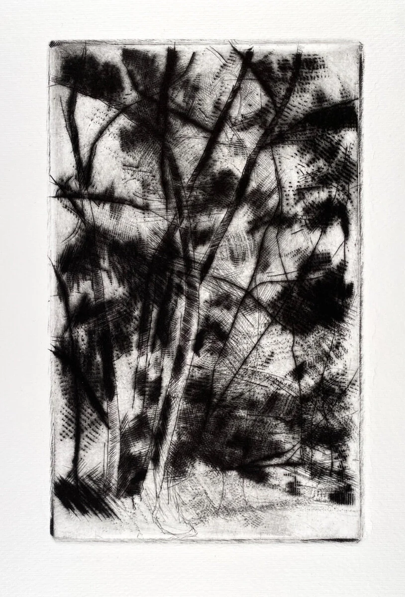 Drypoint Irene's Backyard Trees 7 x 4%22 $150 web.jpg