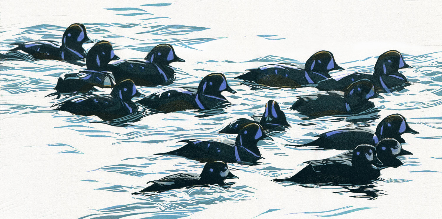 Fourteen at Two Lights