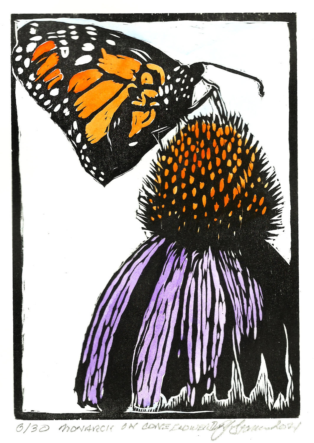 Monarch on Coneflower II (color)