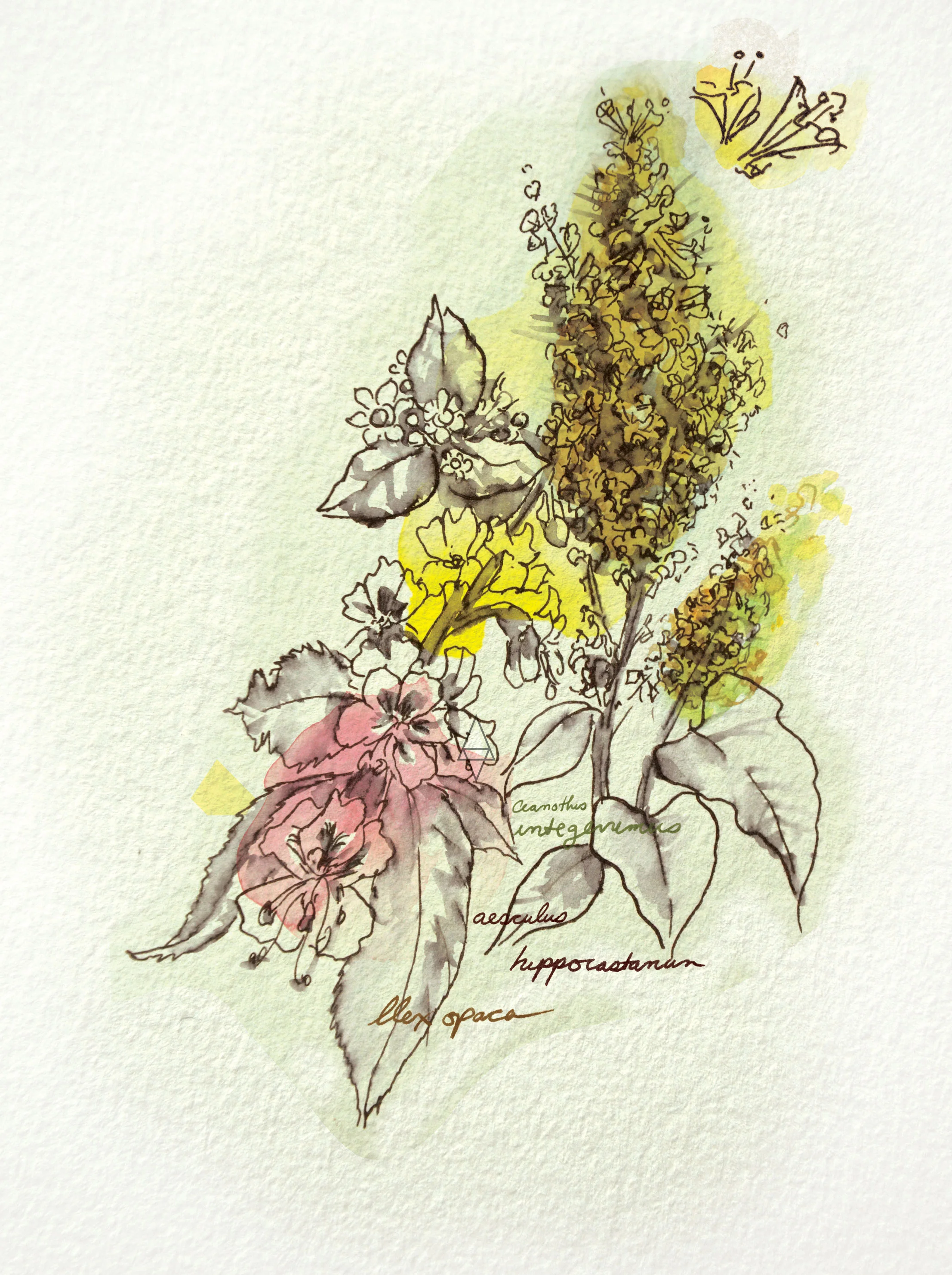 BEAUTY_FLOWERESSENCE_02.jpg