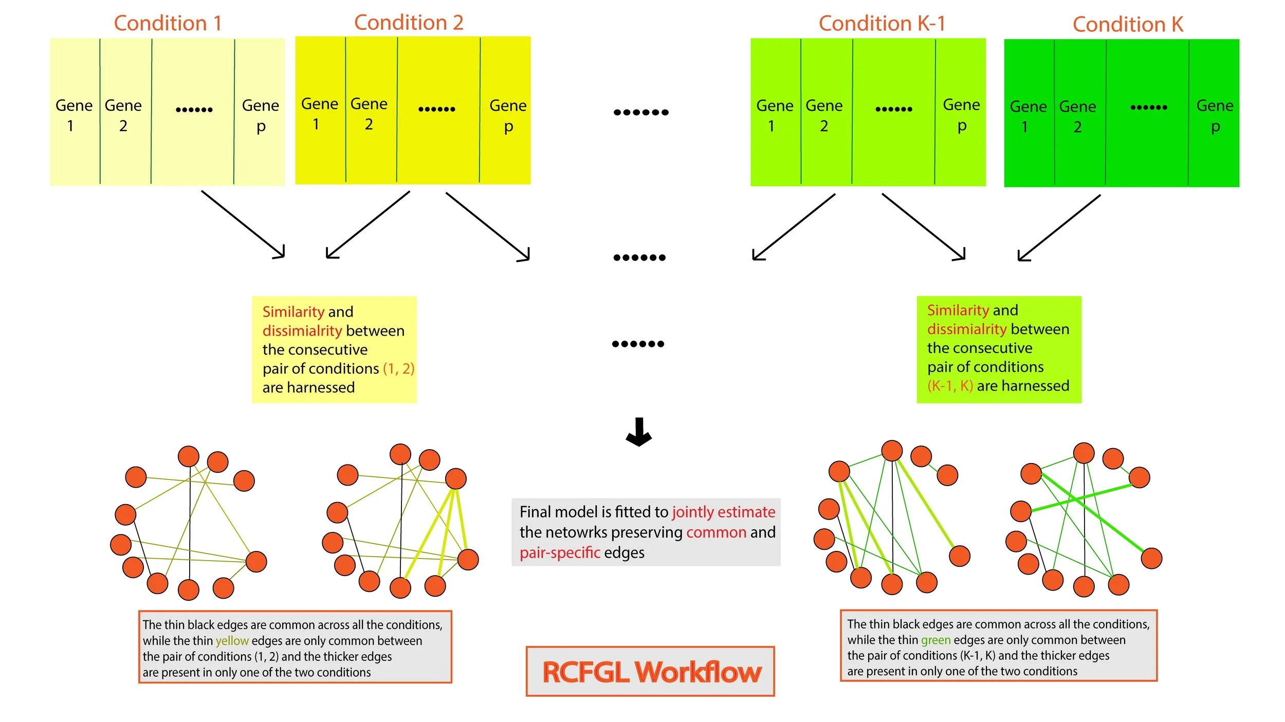 RCFGL: Rapid Condition adaptive Fused Graphical Lasso and application to modeling brain region co-expression networks