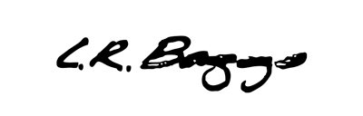 LR-Baggs-Logo.jpg