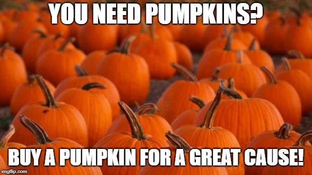 pumpkins.jpg