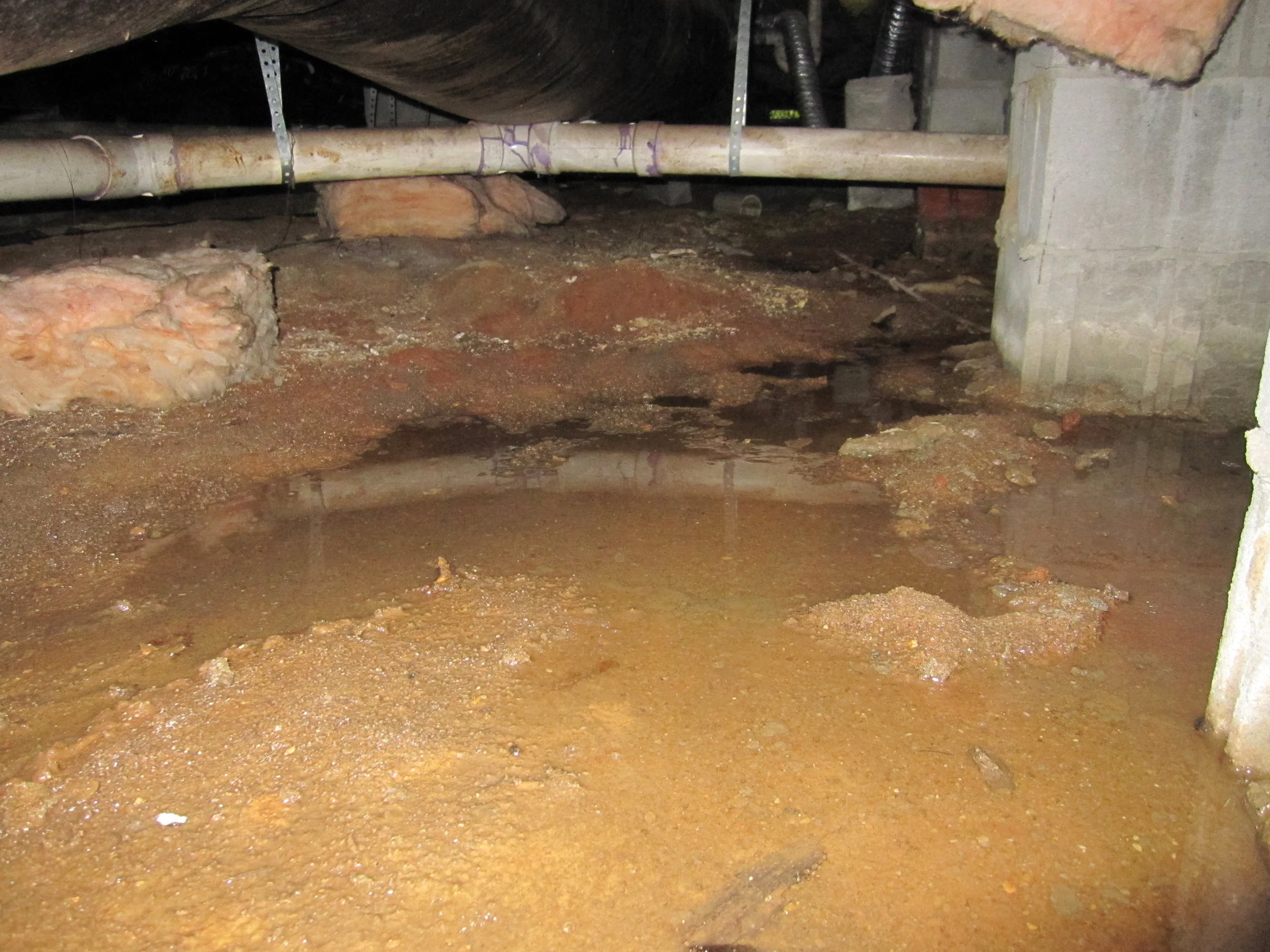 wetcrawlspace.jpg