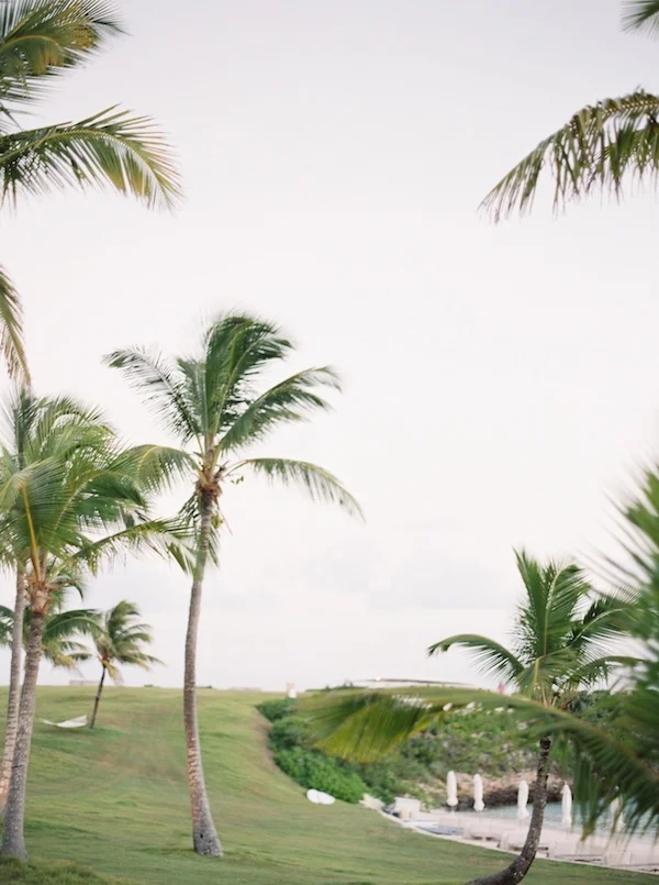 editssimplysarah_photography_the_cove_eleuthera_WEDDING-100.jpg