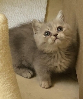 Giselle looking cute in her new home