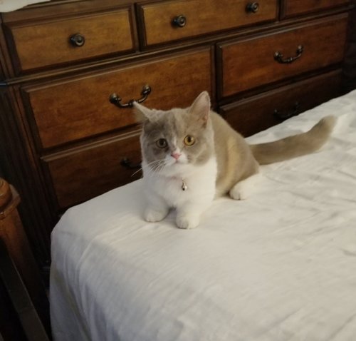 Mimi, posing pretty……