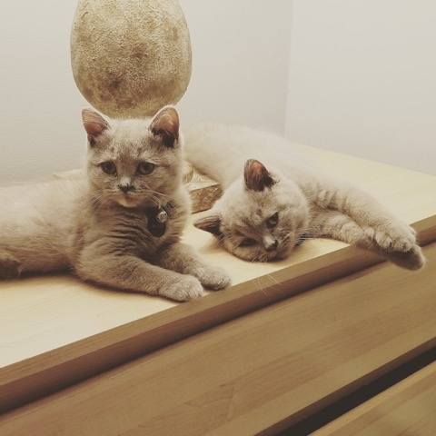Oliver & Dejah, happy to be home