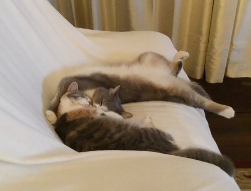 Ashby & Evie, best of friends