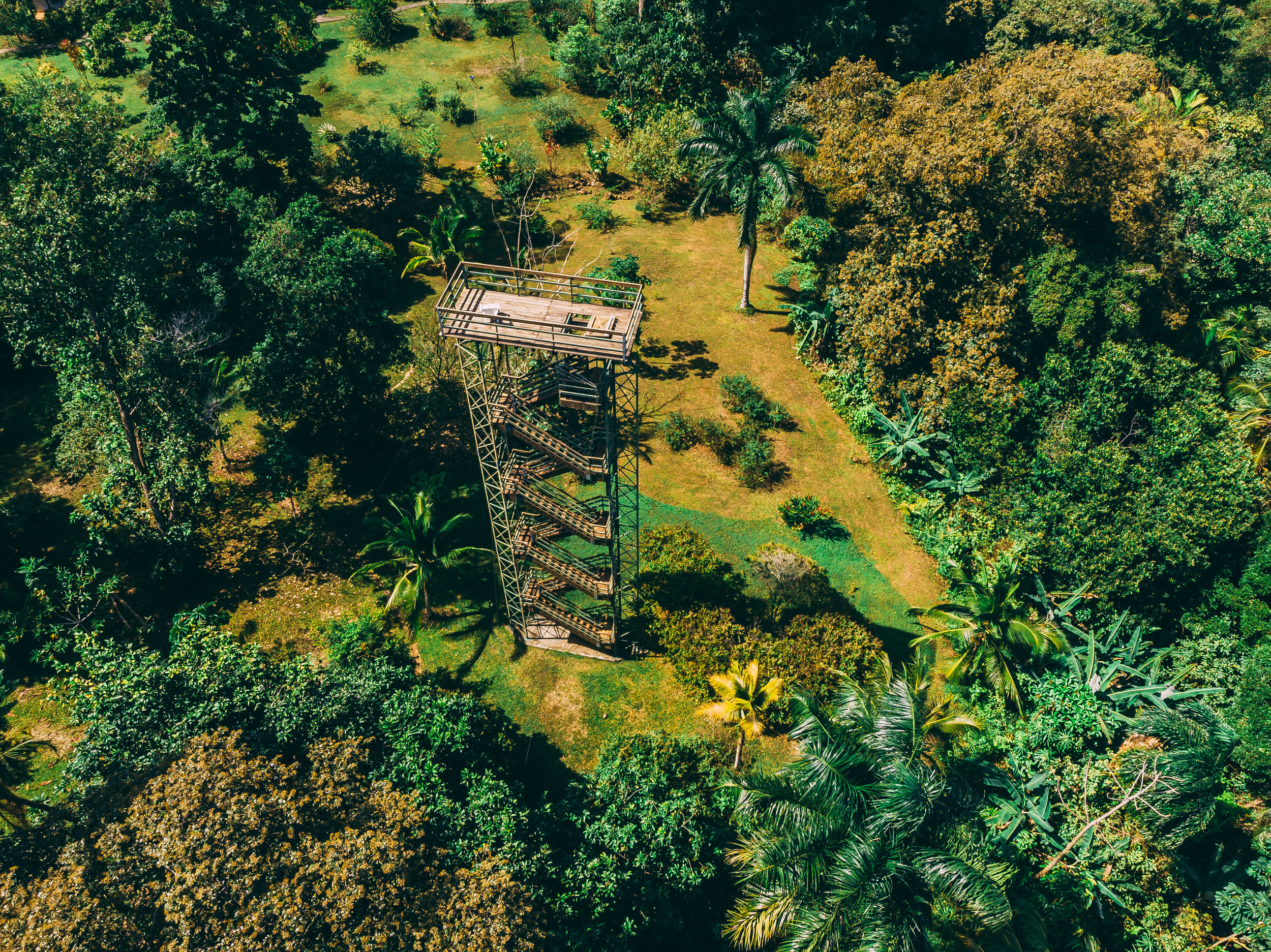 Drone Bird tower-10.jpg