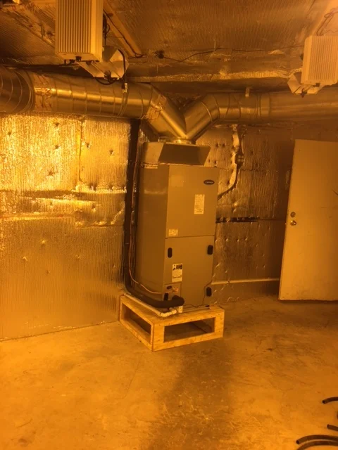 IMG_1924.JPG