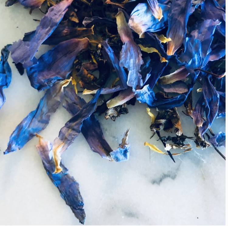Group Breathwork Event: Spring Expansion - April 19th