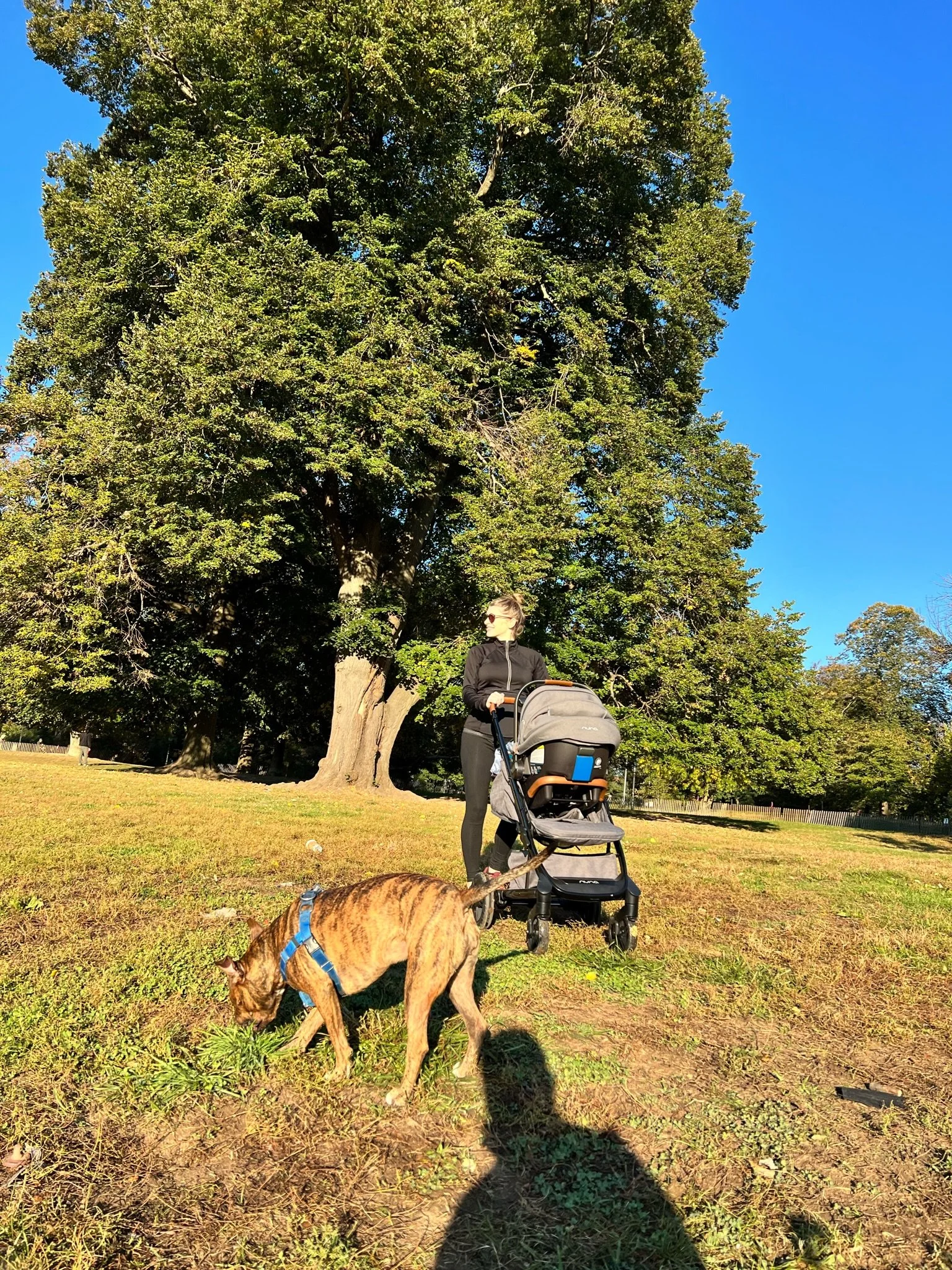 Sweet Baby Blessings