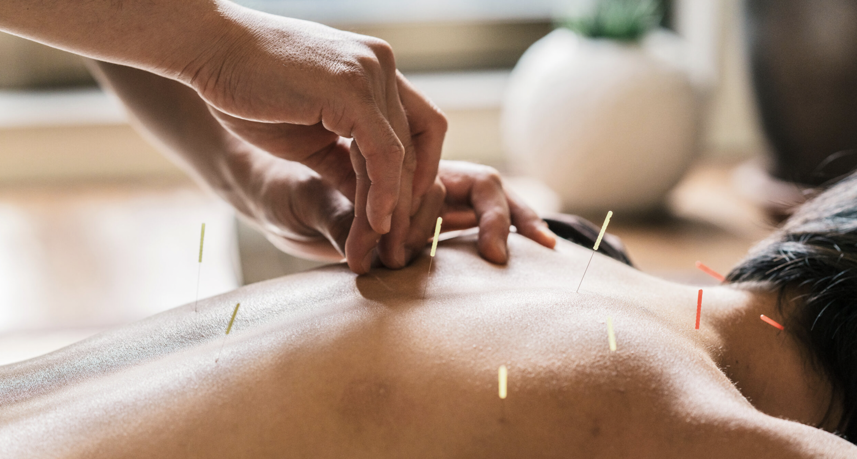 Science Just Proved What TCM Has Always Known