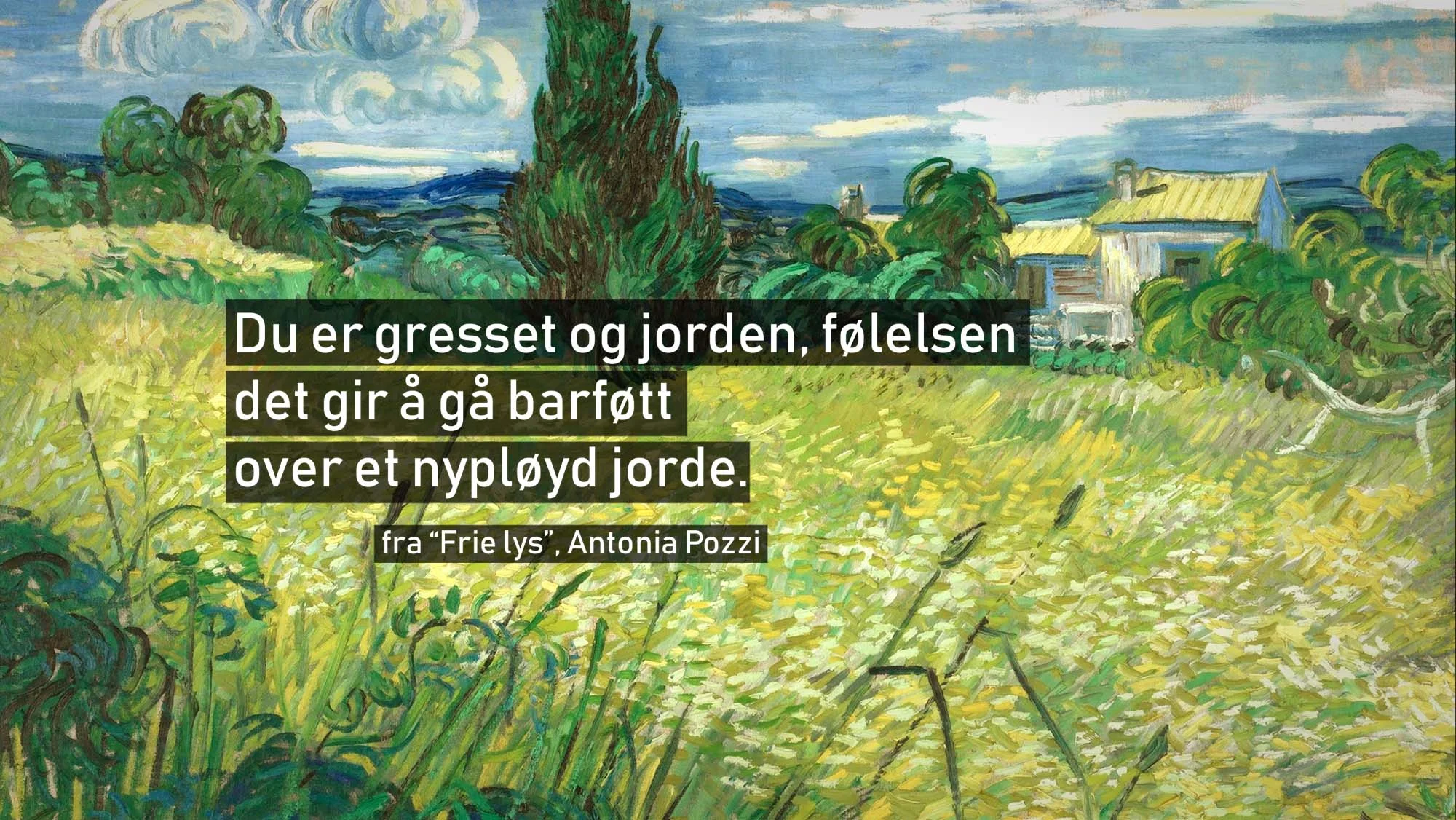 Bakgrunnsmaleri: Green Fields , Vincent van Gogh (Wikimedia Commons)