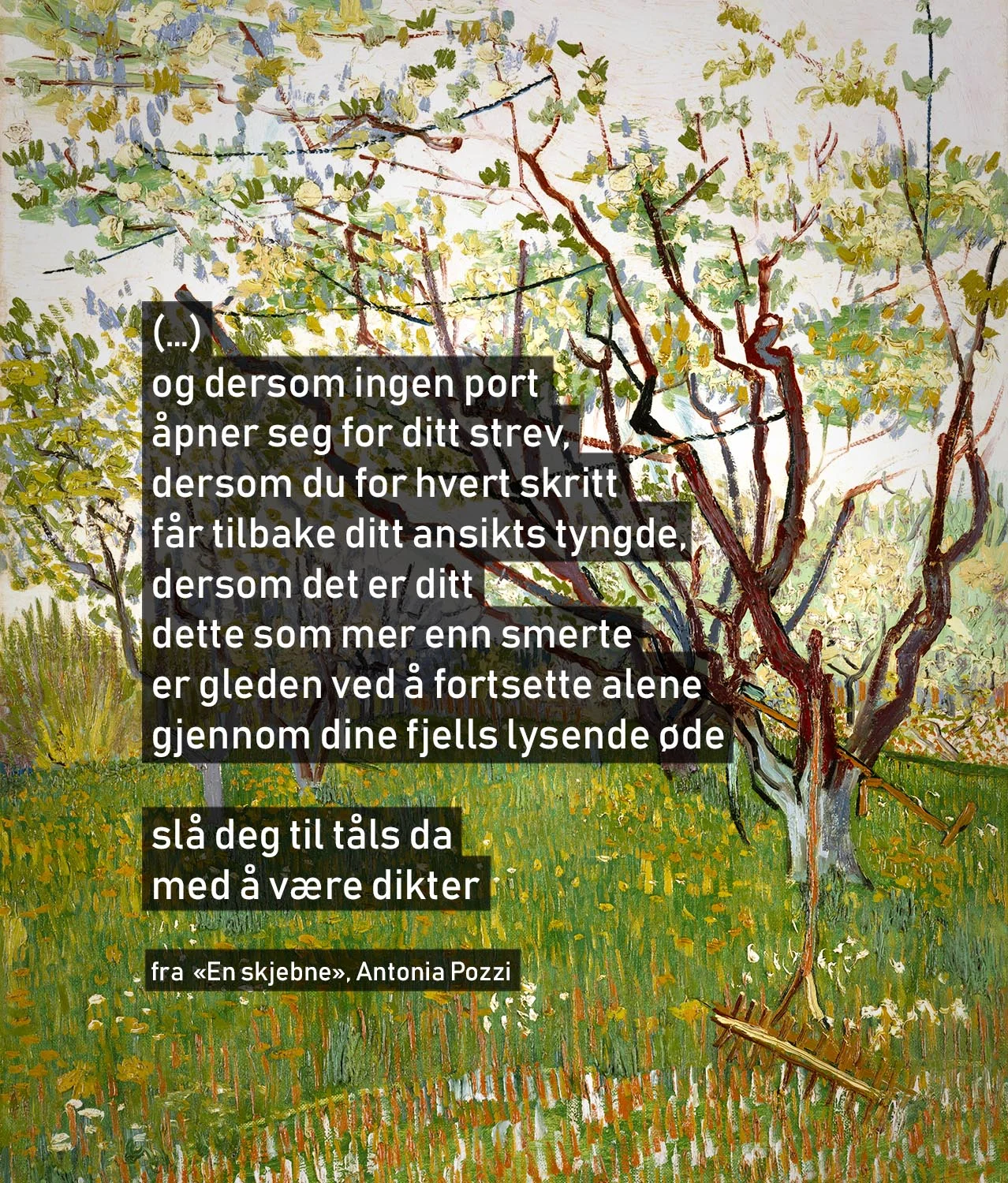 Bakgrunnsmaleri: Kirschbaum , Vincent van Gogh (Wikimedia Commons)