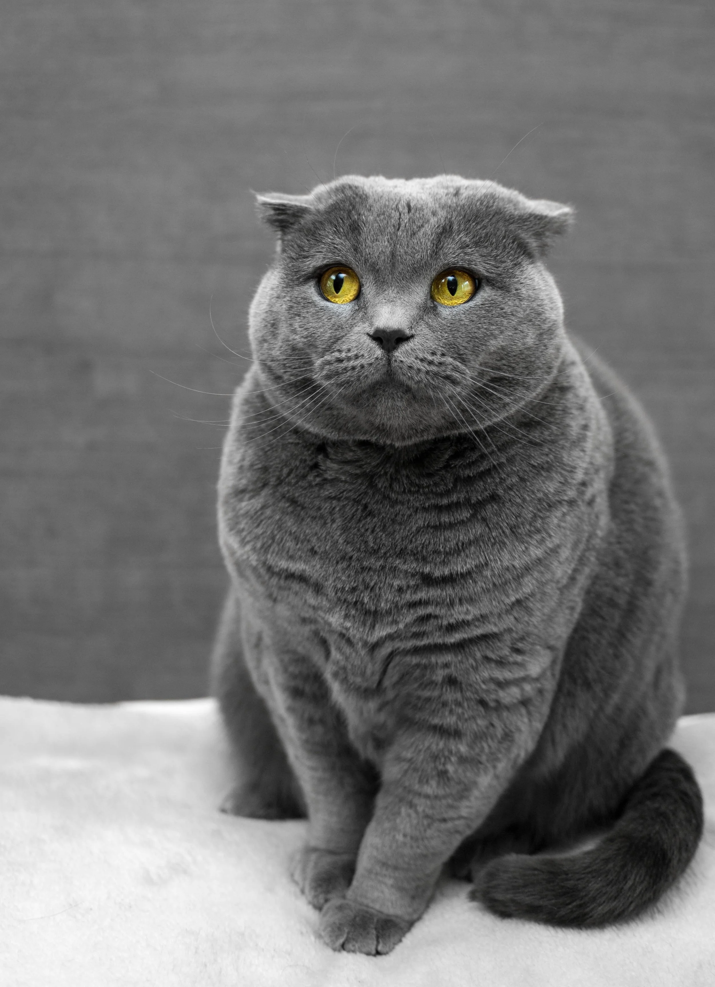 Foto av Max Baskakov .