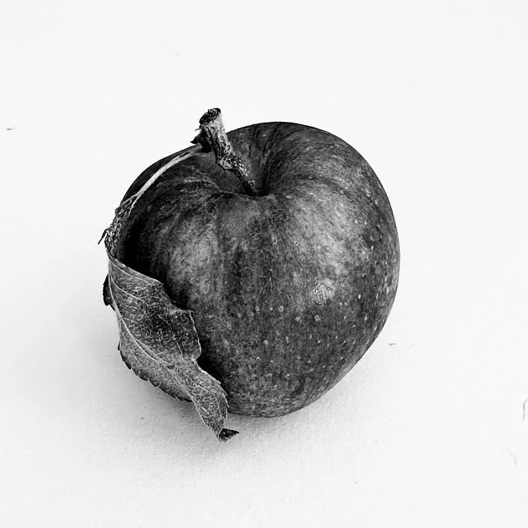fallen apple