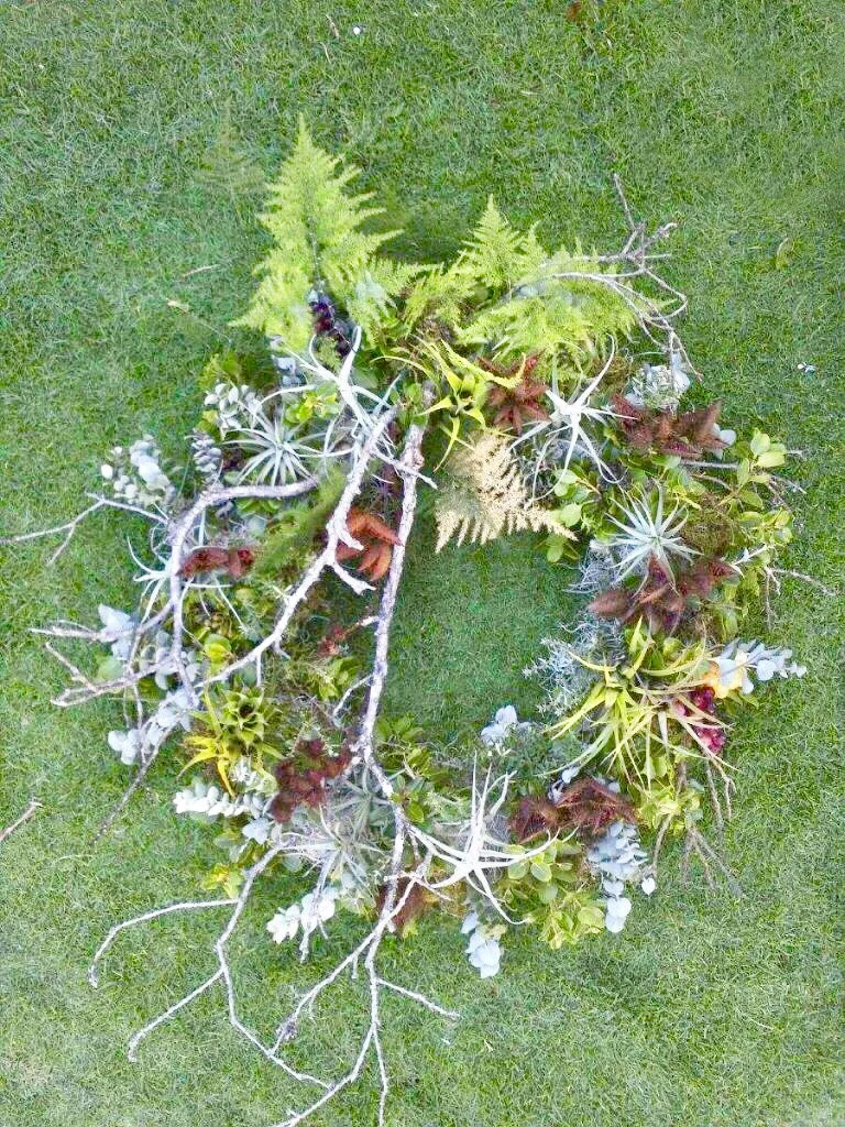 wreath grass.jpg