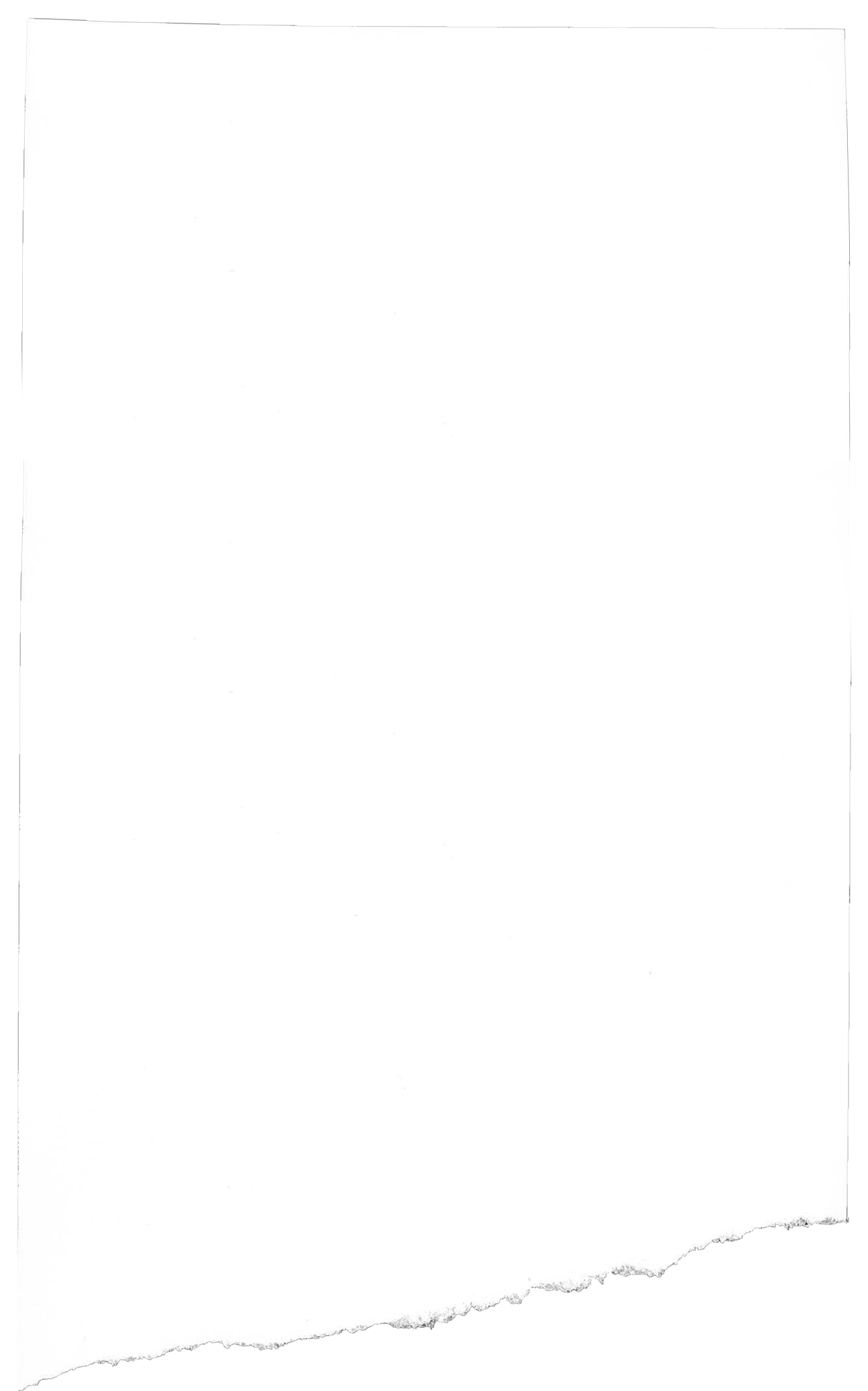 BG_website_homepage_paper.png