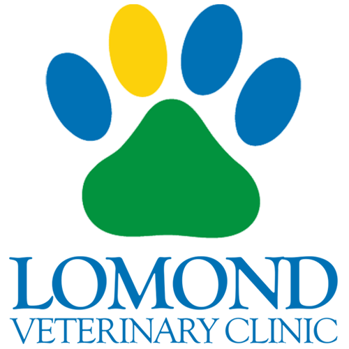 Lomond-Vets-Facebook-logo.png