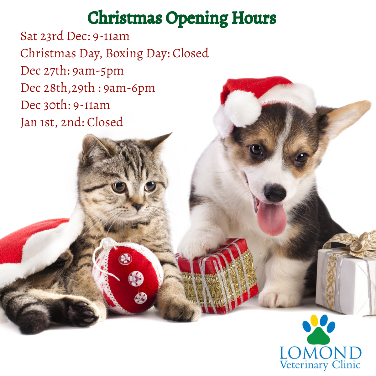 Christmas opening hours.png