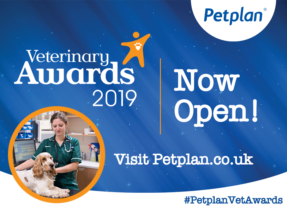 Vote for us!
