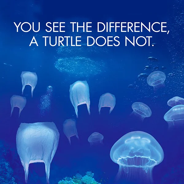 PLASTIC BAG_TURTLE_lr.jpg